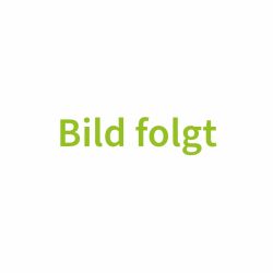 Linus Holst
